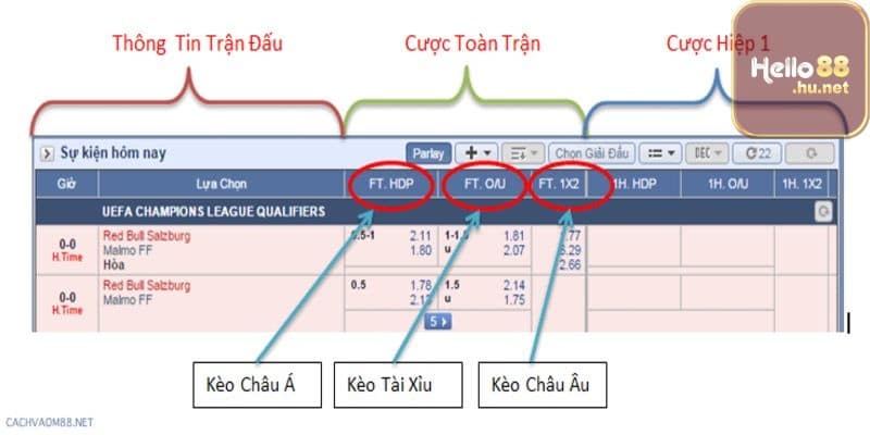 Sử dụng tỷ lệ cá cược một cách hợp lý để tối đa hóa lợi nhuận